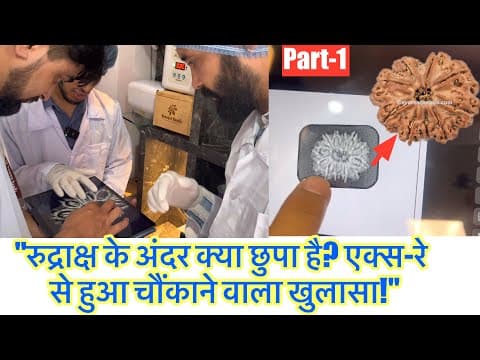 Rudraksha Xray and Certification at Everest Beads