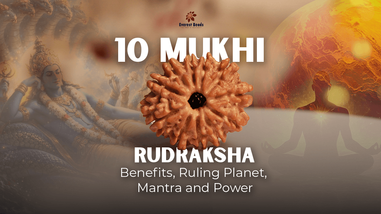 10 Mukhi Rudraksha: Benefits, Ruling Planet, Mantra and Power