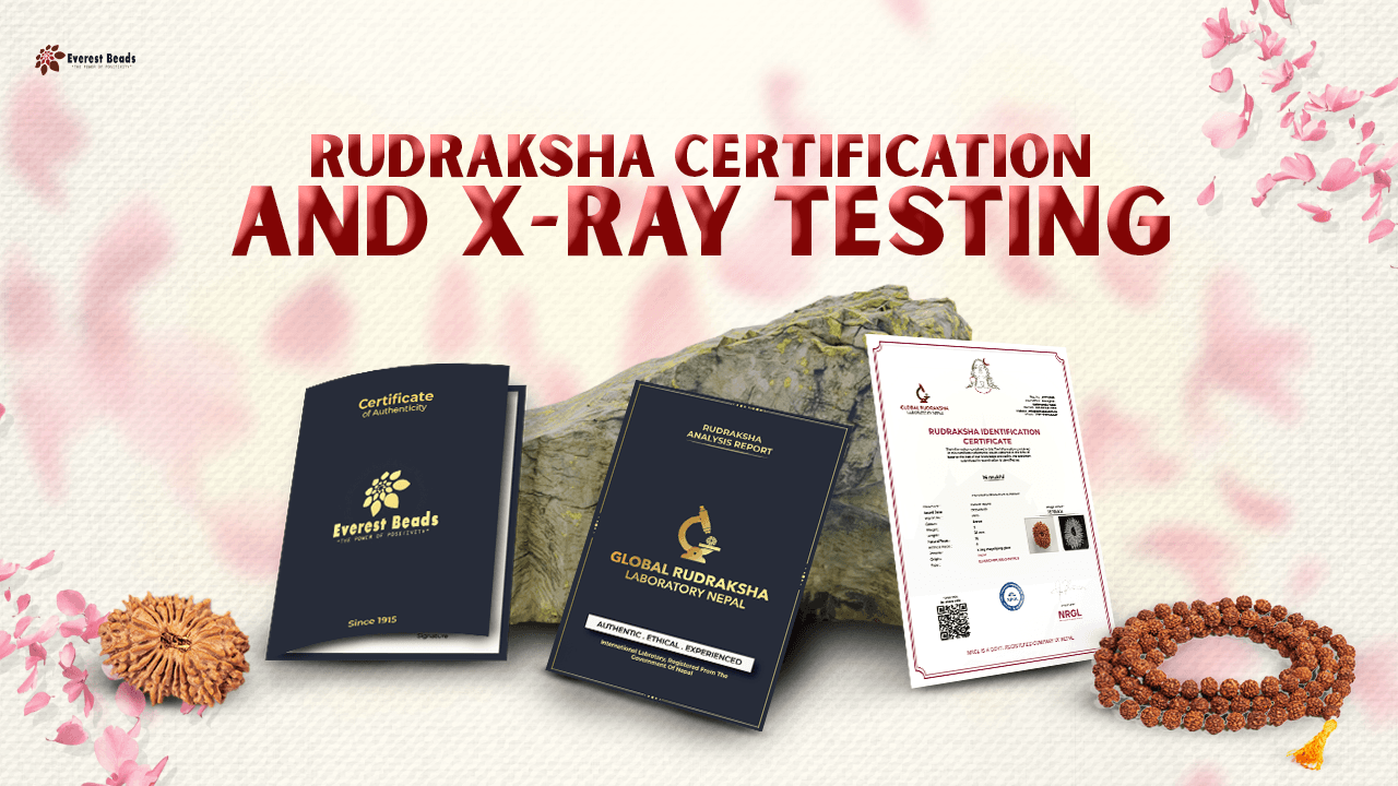 Rudraksha Lab Certification and X-ray Testing at Everest Beads
