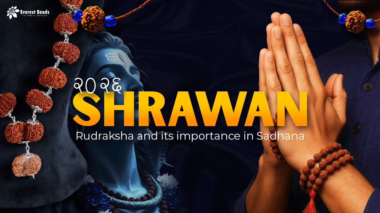 Shrawan 2026: Rudraksha and Its Importance In Sadhana