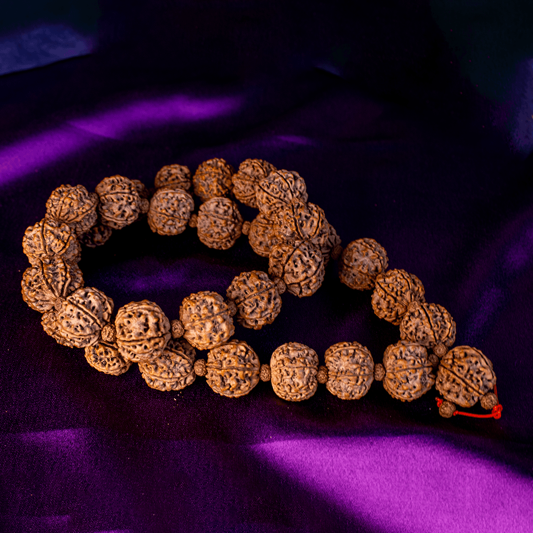 6 Mukhi Mala
