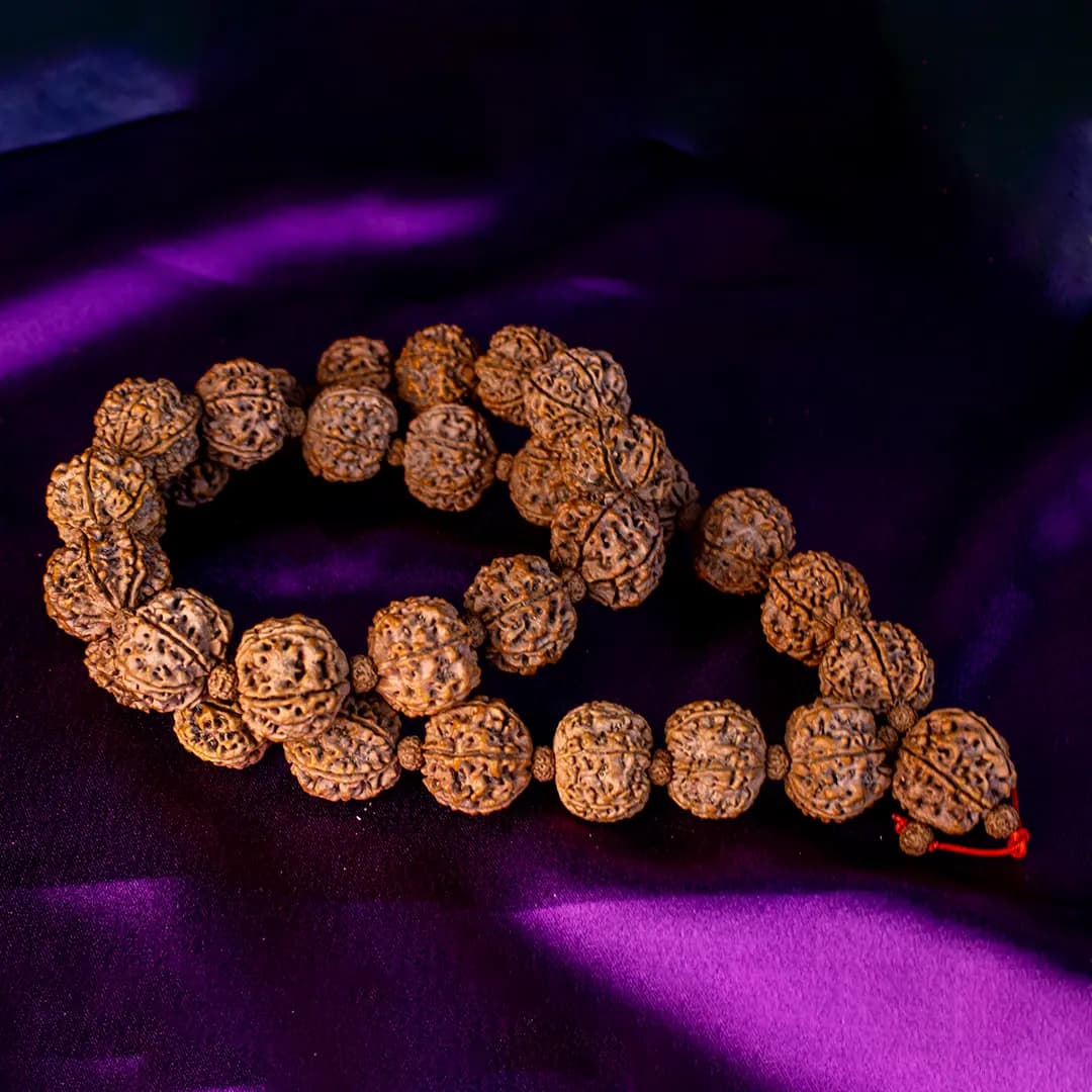 5 Mukhi Mala