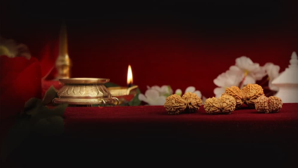 Gauri Shankar Rudraksha