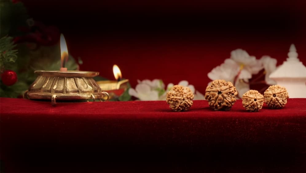 Five Mukhi Rudraksha