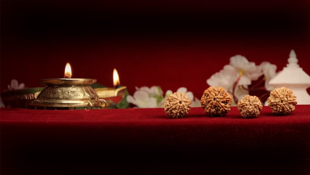 Six Mukhi Rudraksha