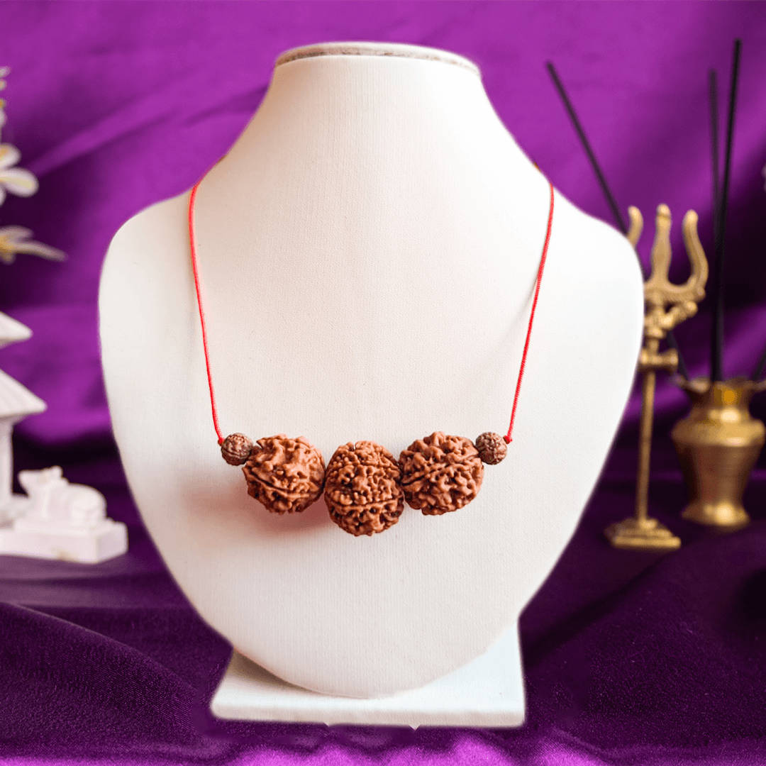 Saraswati Bandh (Collector)