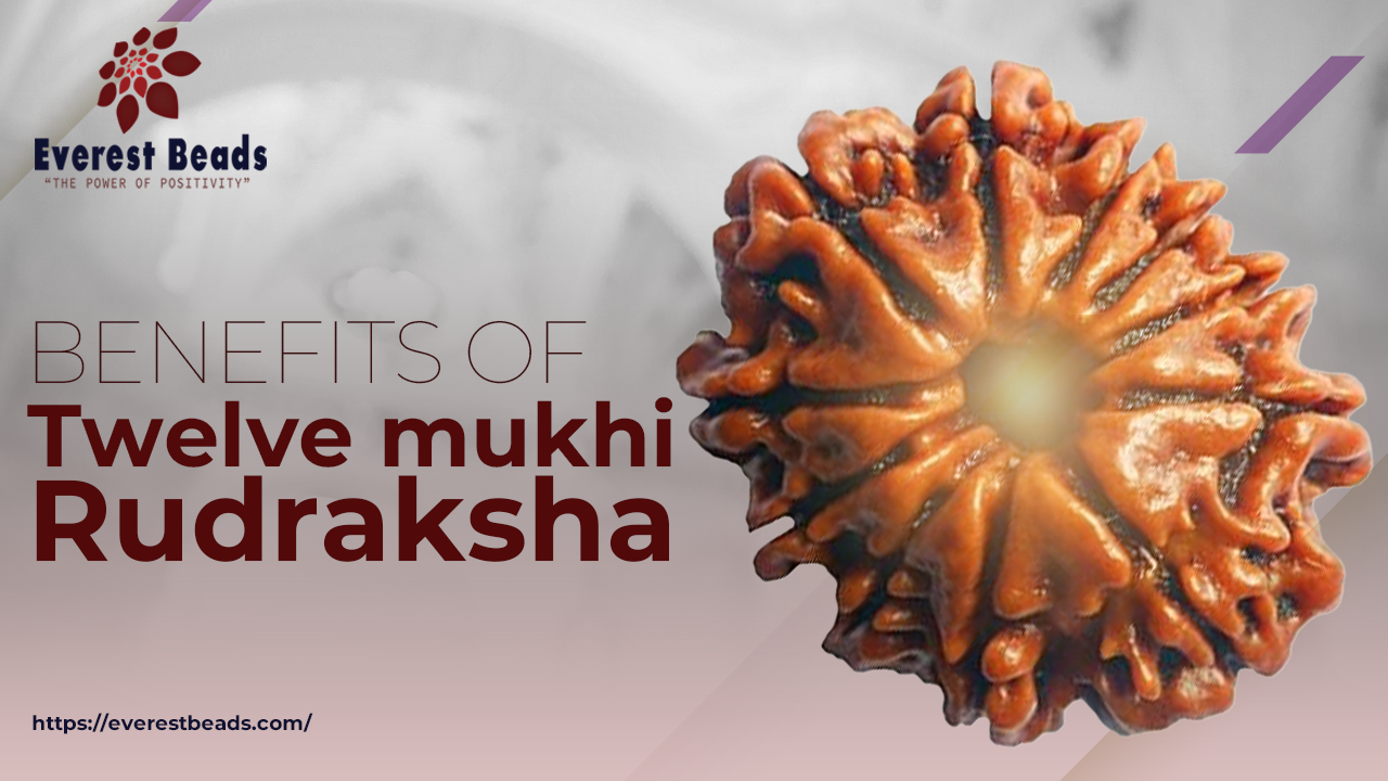 Benefits of Twelve mukhi Rudraksha