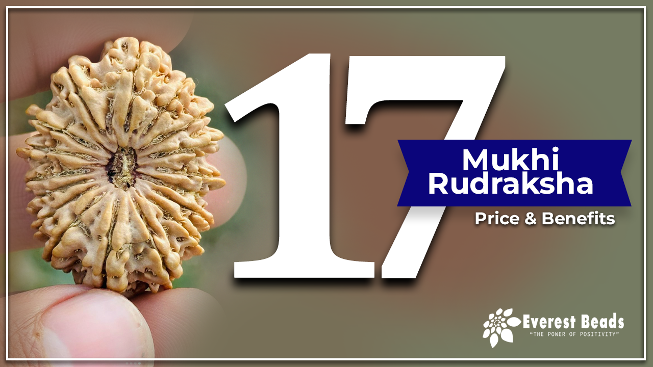 17 Mukhi Rudraksha, Price and Benifits  of Seventeen Mukhi Rudraksha