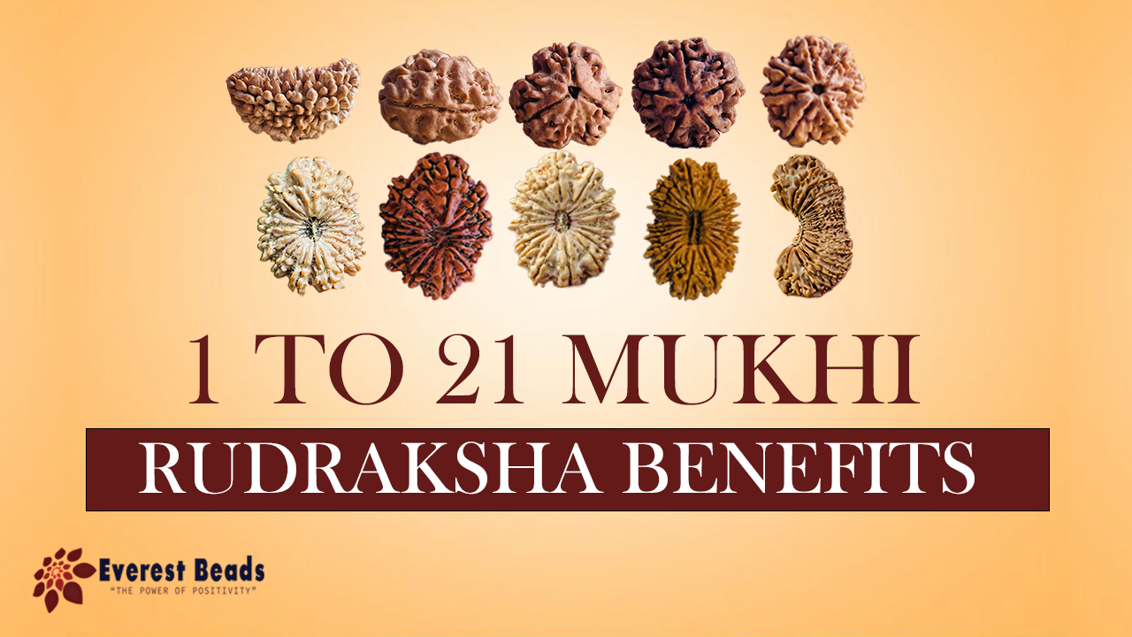 1 to 21  Mukhi Rudraksha Benefits