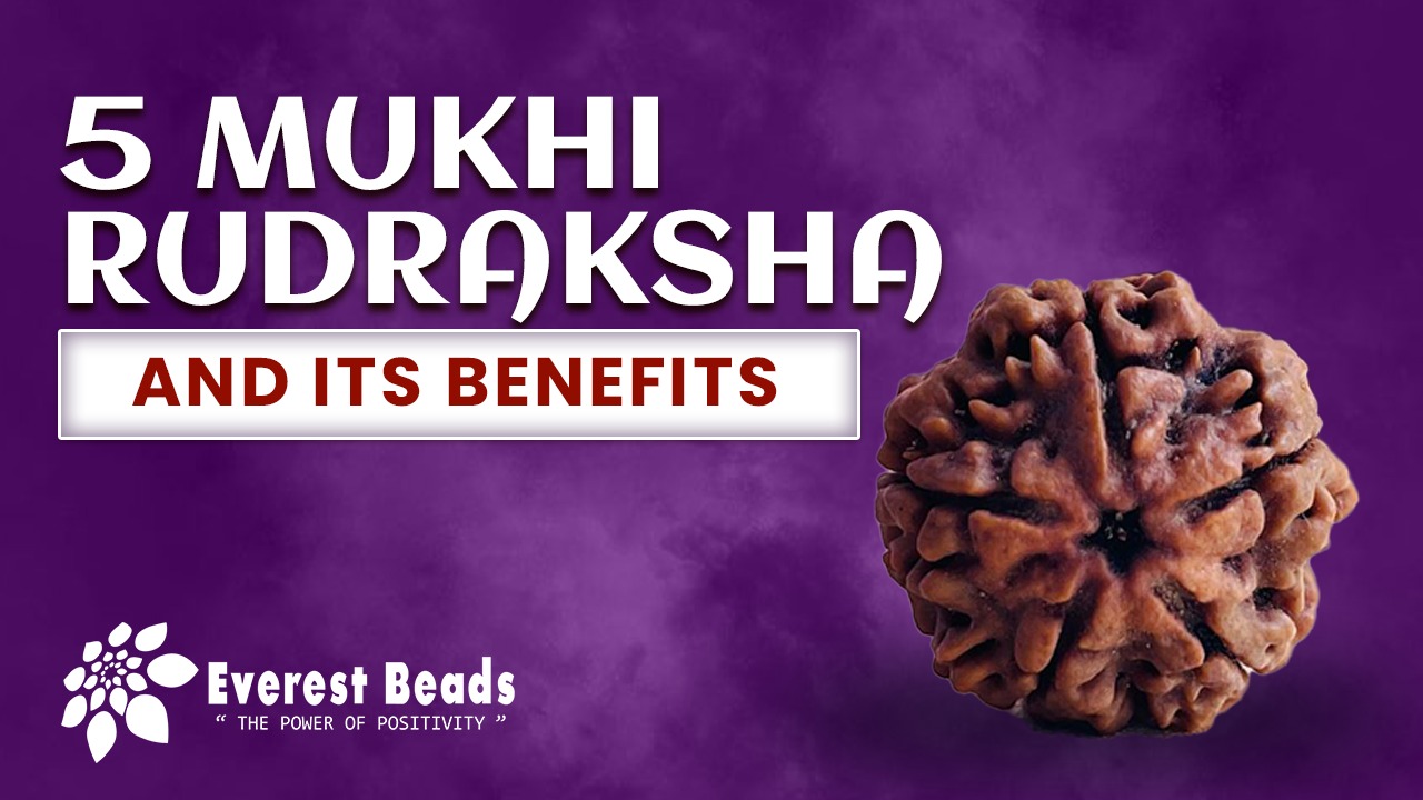 5 Mukhi Rudraksha and Its Benefits
