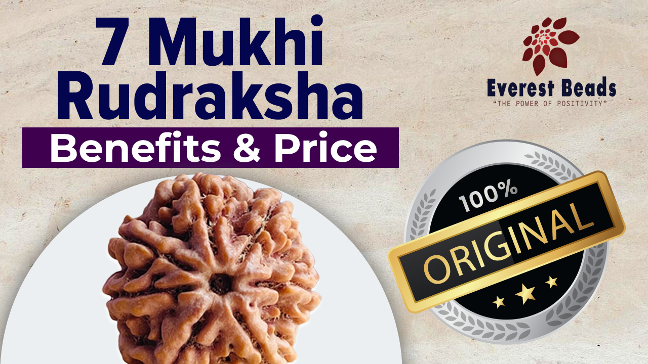 7 Mukhi Rudraksha Benifits & Price, 100% Original Rudraksha Price