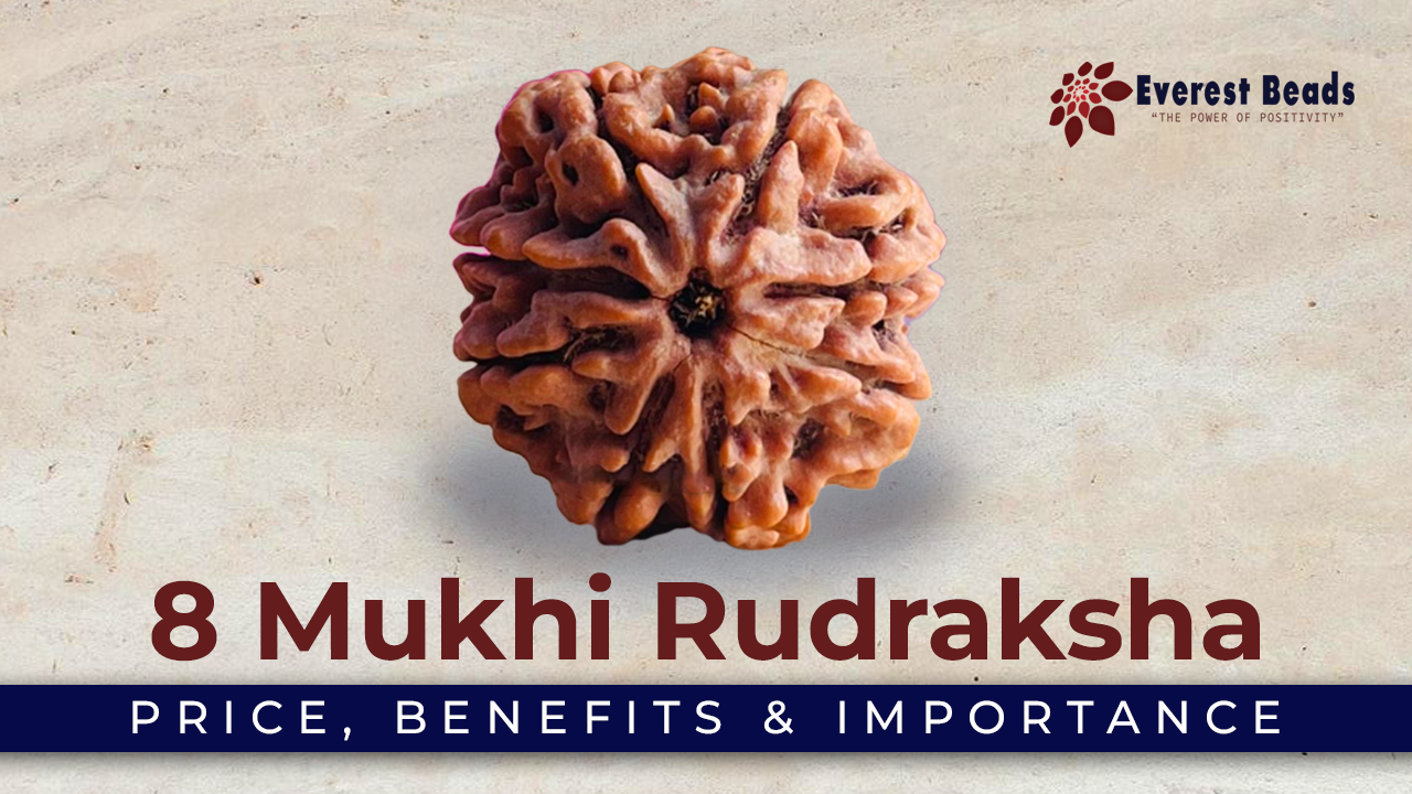8 Mukhi Rudraksha Benefits & Price , Importance of 8 Mukhi Rudraksha