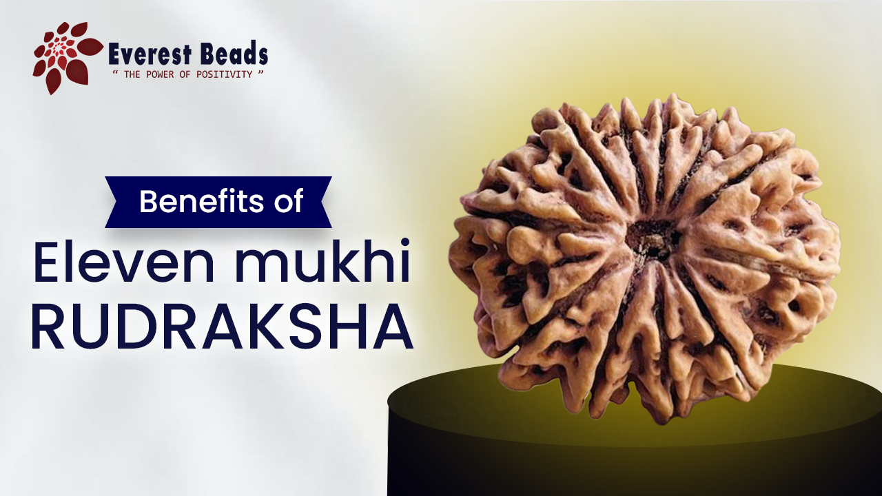Benefits of Eleven mukhi Rudraksha