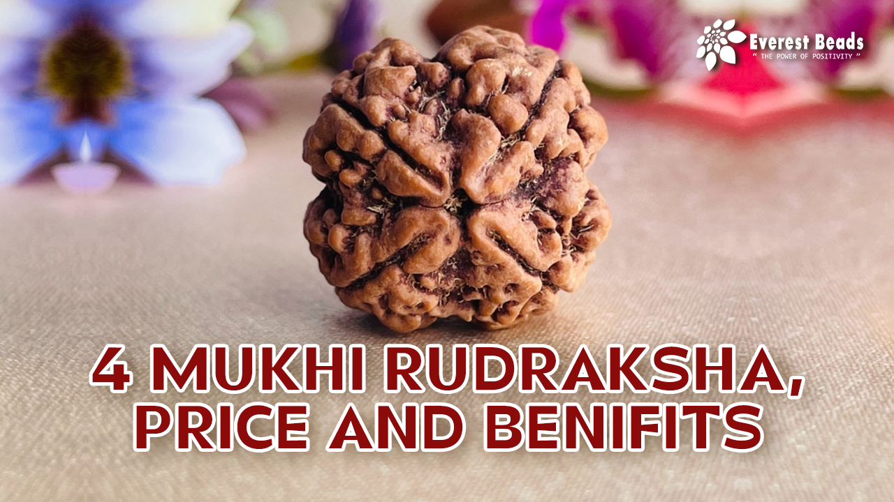 4 Mukhi Rudraksha, Price and Benifits of Four Mukhi Rudraksha