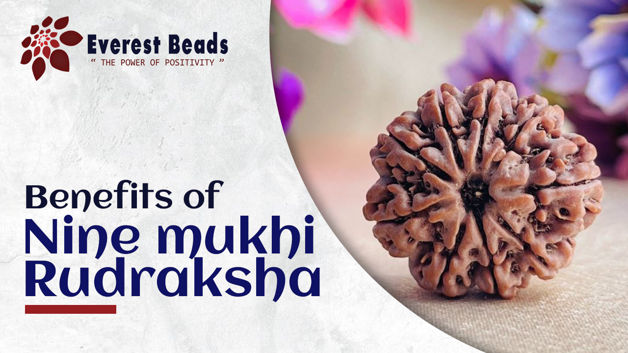 Benefits of Nine mukhi Rudraksha