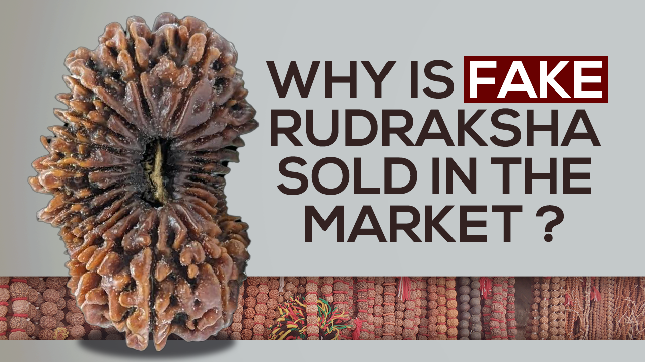 Why is fake rudraksha sold in the market? Fake Vs Real Rudraksha