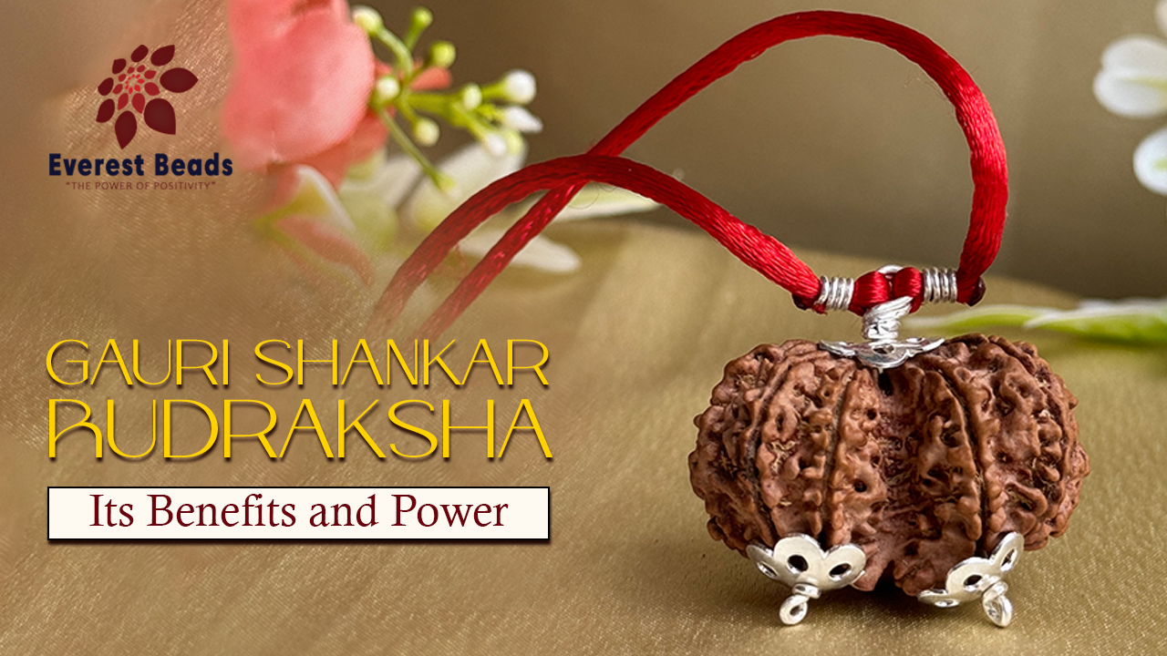 Gauri Shankar Rudraksha: Its Benefits and Power