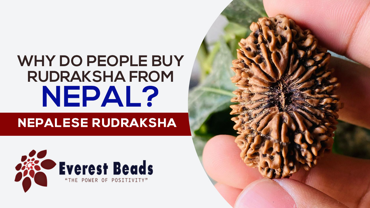 Why do people buy Rudraksha from Nepal? Nepalese Rudraksha