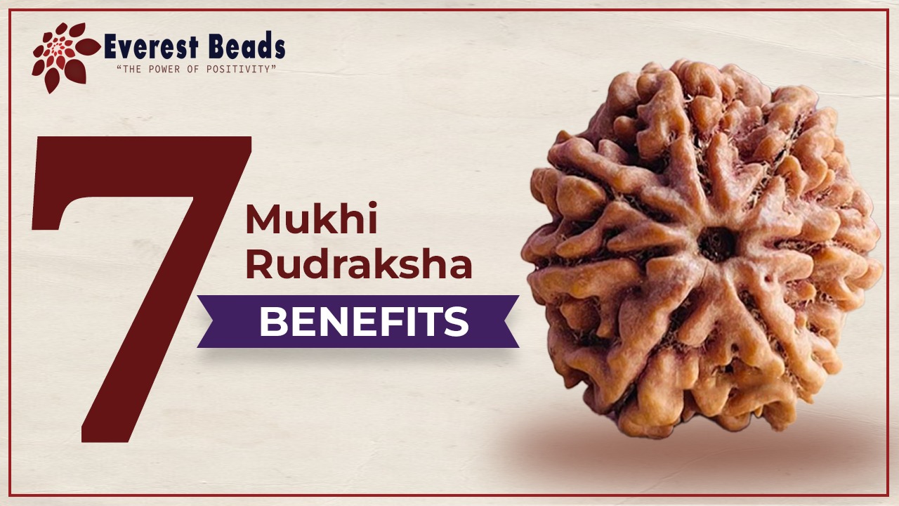7 Mukhi Rudraksha and its Benefits