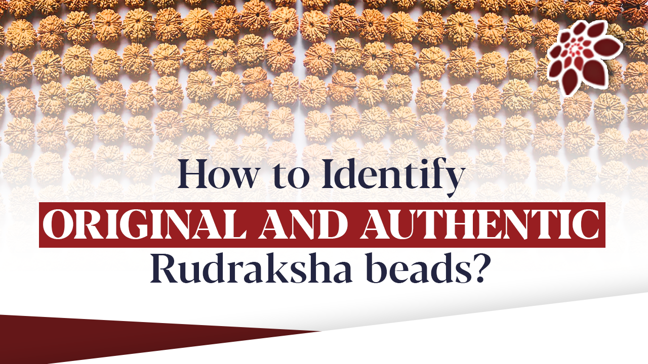 How to Identify Original and authentic Rudraksha Beads?