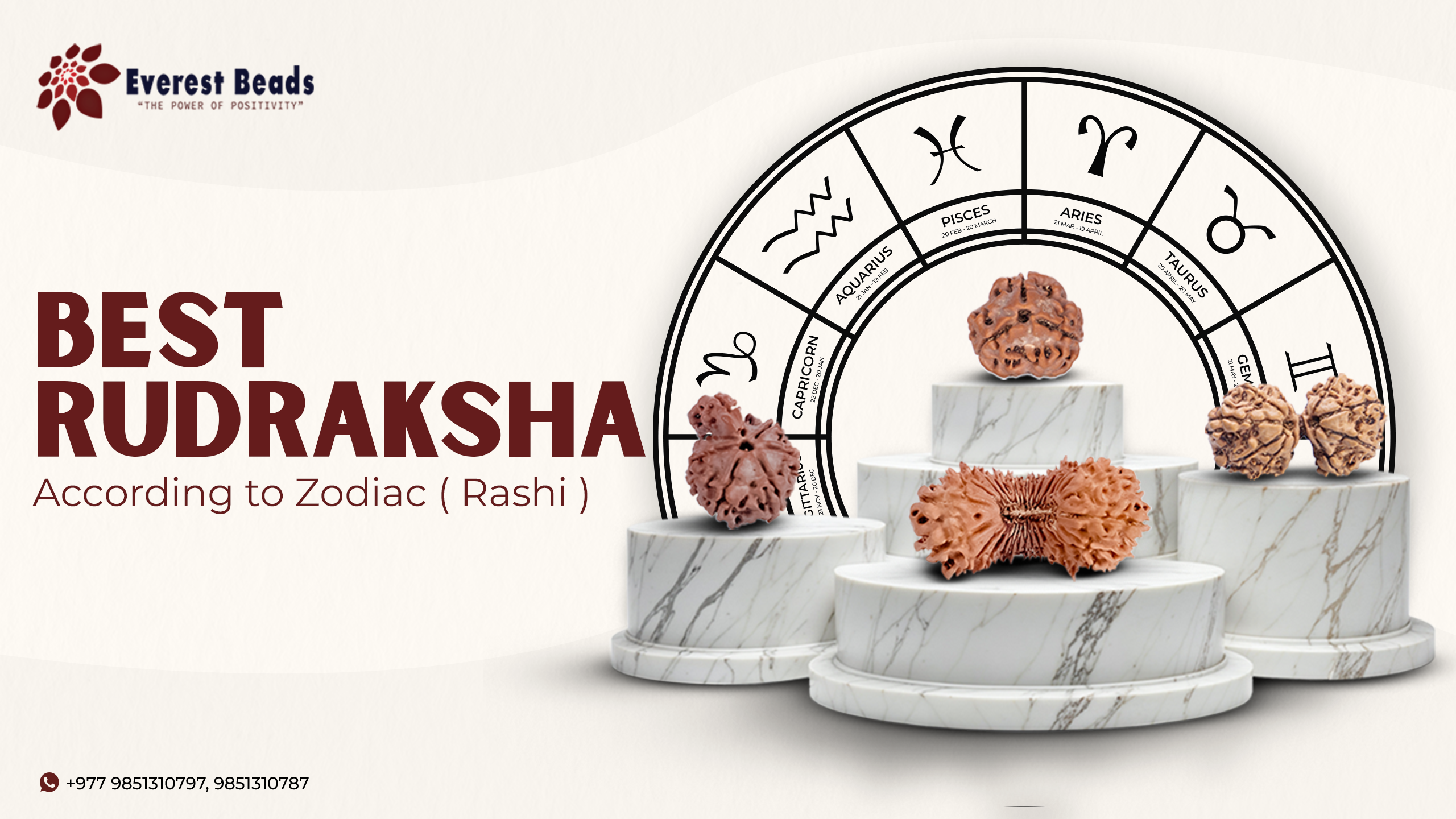 Best Rudraksha According to your Zodiac Sign (Rashi)