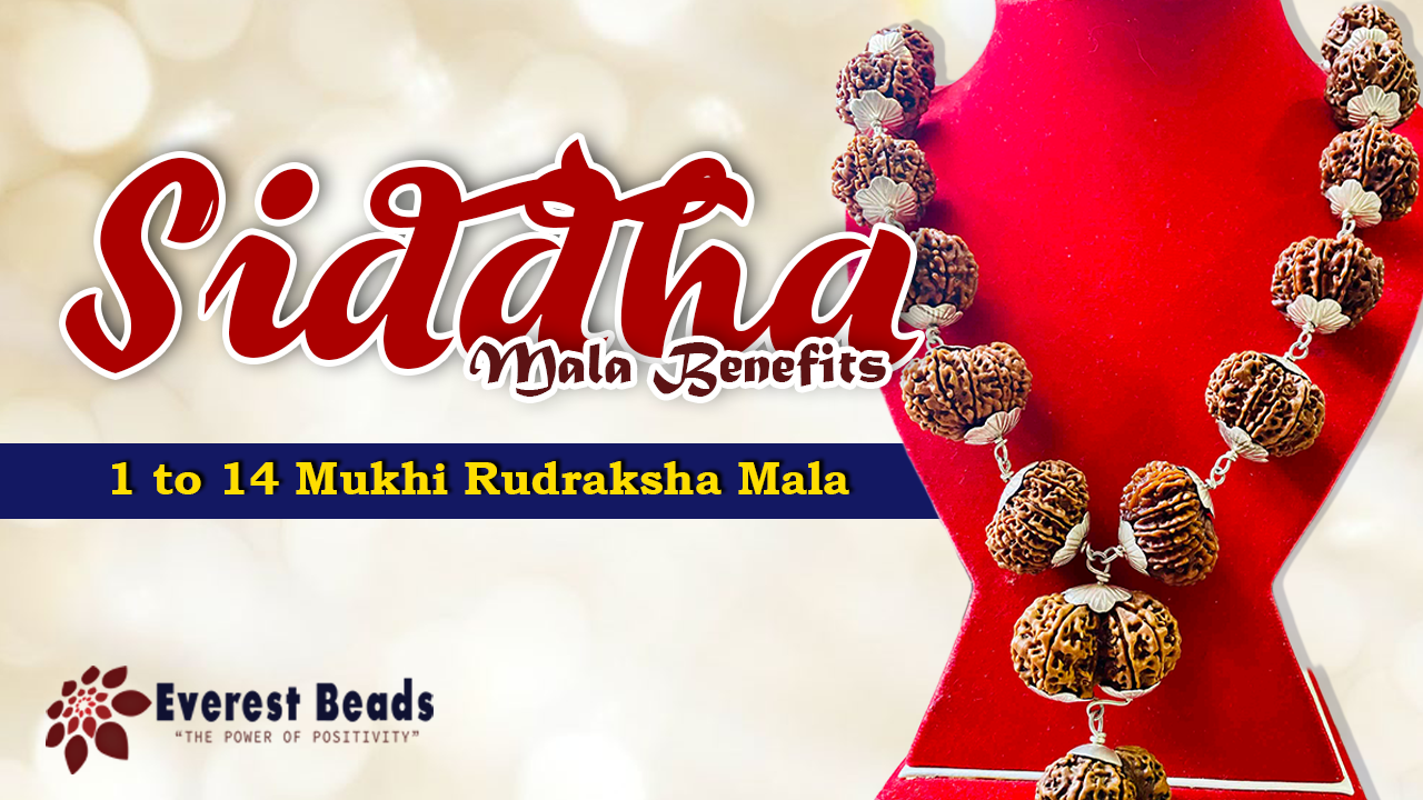 Siddha Mala Benefits: 1 to 14 Mukhi Rudraksha Mala