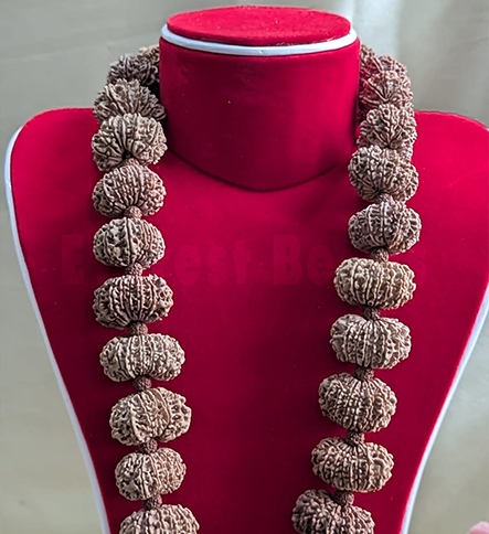 14 Mukhi Kantha Mala