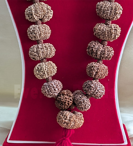 14 Mukhi Kantha Mala