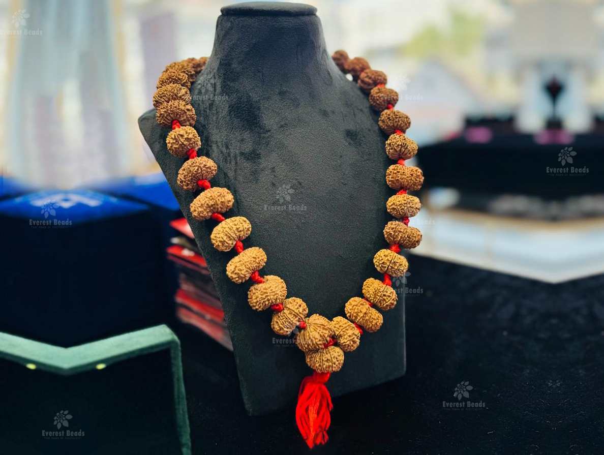 14 Mukhi Mala