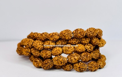 2 Mukhi  Japa Mala Everest Beads