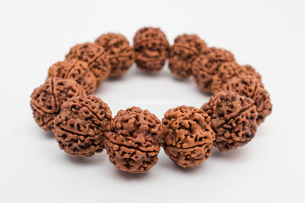 5 Mukhi Bracelet(13 beads) Everest Beads