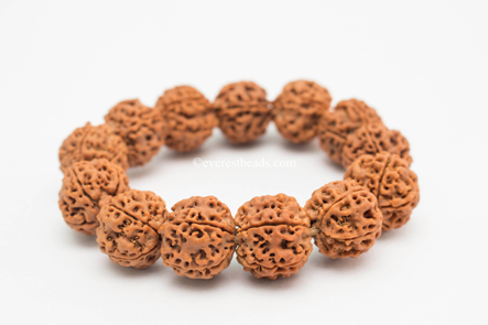 5 Mukhi Bracelet(13 beads) Everest Beads