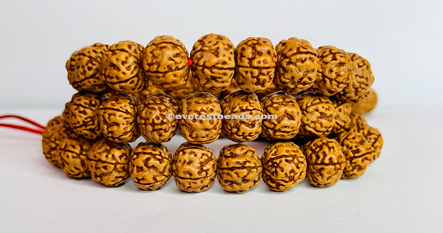 5 Mukhi Japa Mala Everest Beads