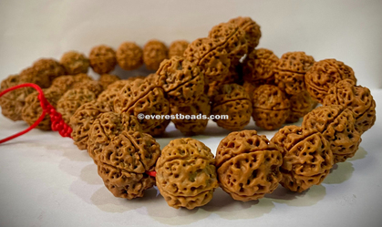 5 Mukhi  Mala(54+1) Everest Beads