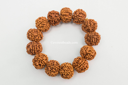 6 Mukhi Bracelet(13 beads) Everest Beads