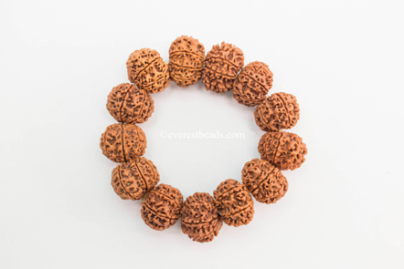 7 Mukhi Bracelet(13 beads)