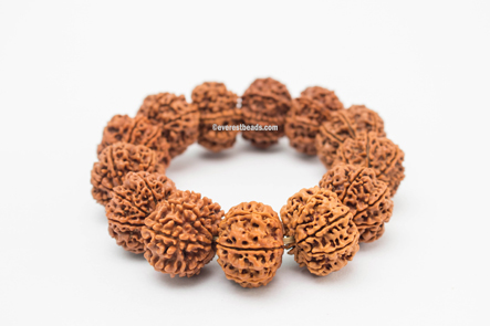 8 Mukhi Bracelet(13 beads) Everest Beads