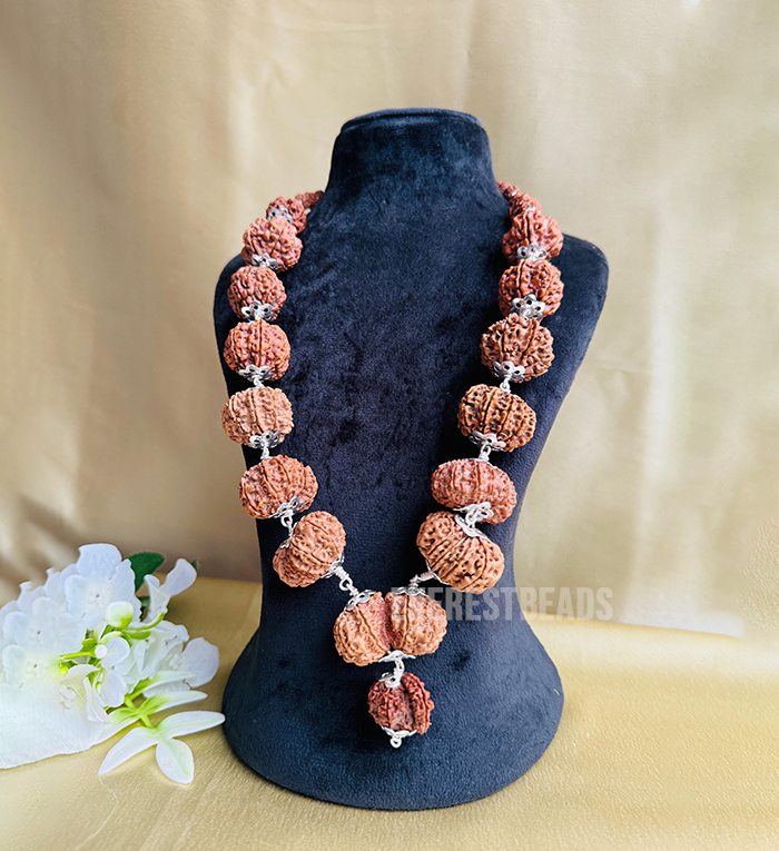 Bramha siddha mala