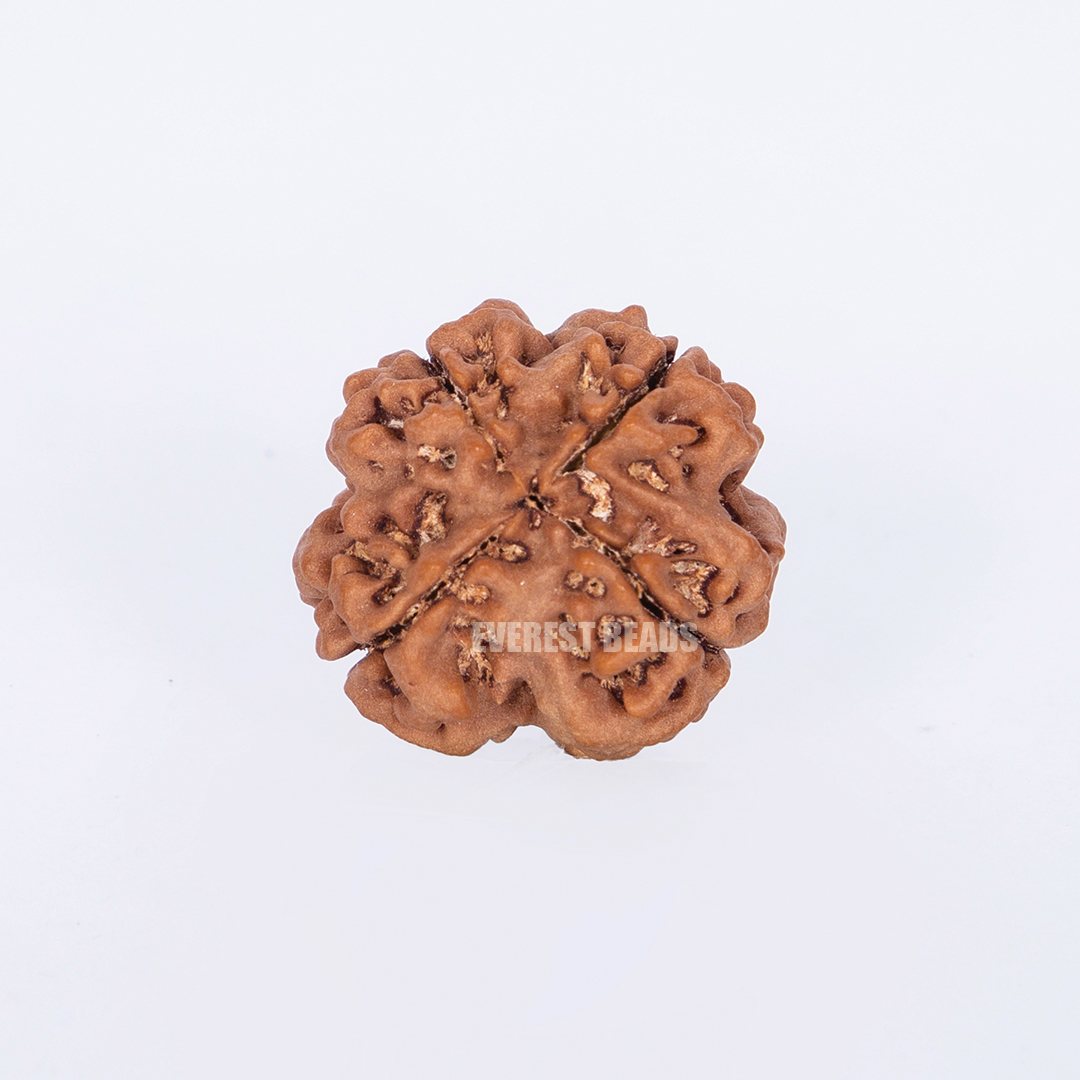 4 mukhi medium