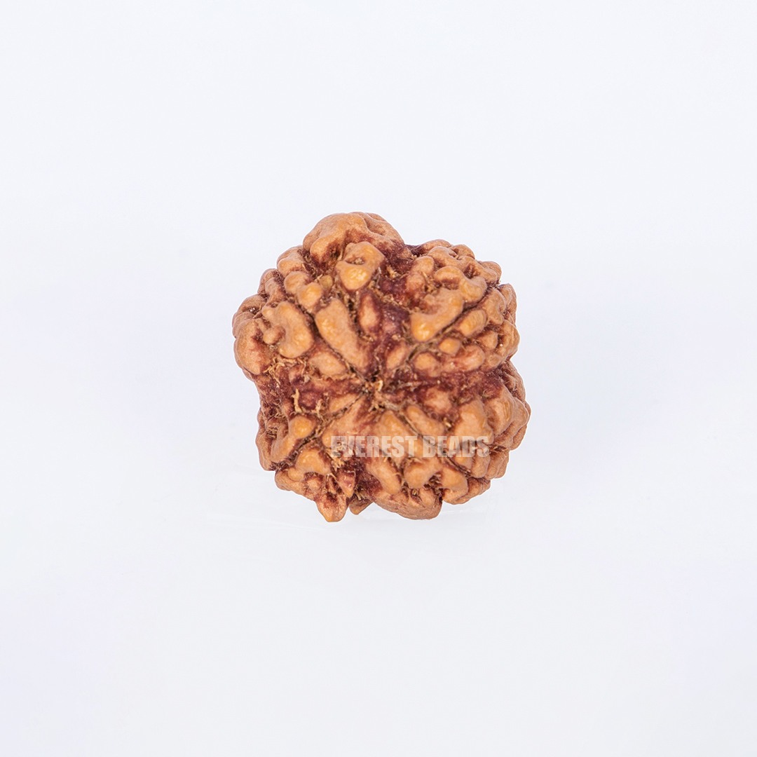 4 mukhi small