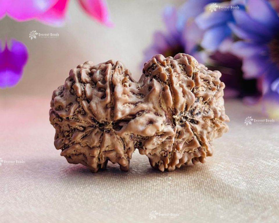 Gauri Shankar Rudraksha Everest Beads