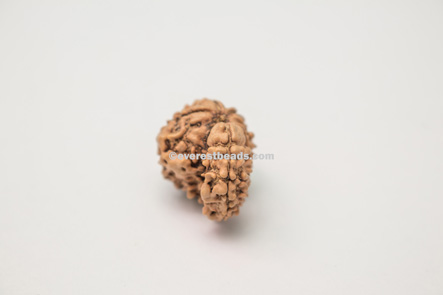 one mukhi Sawar