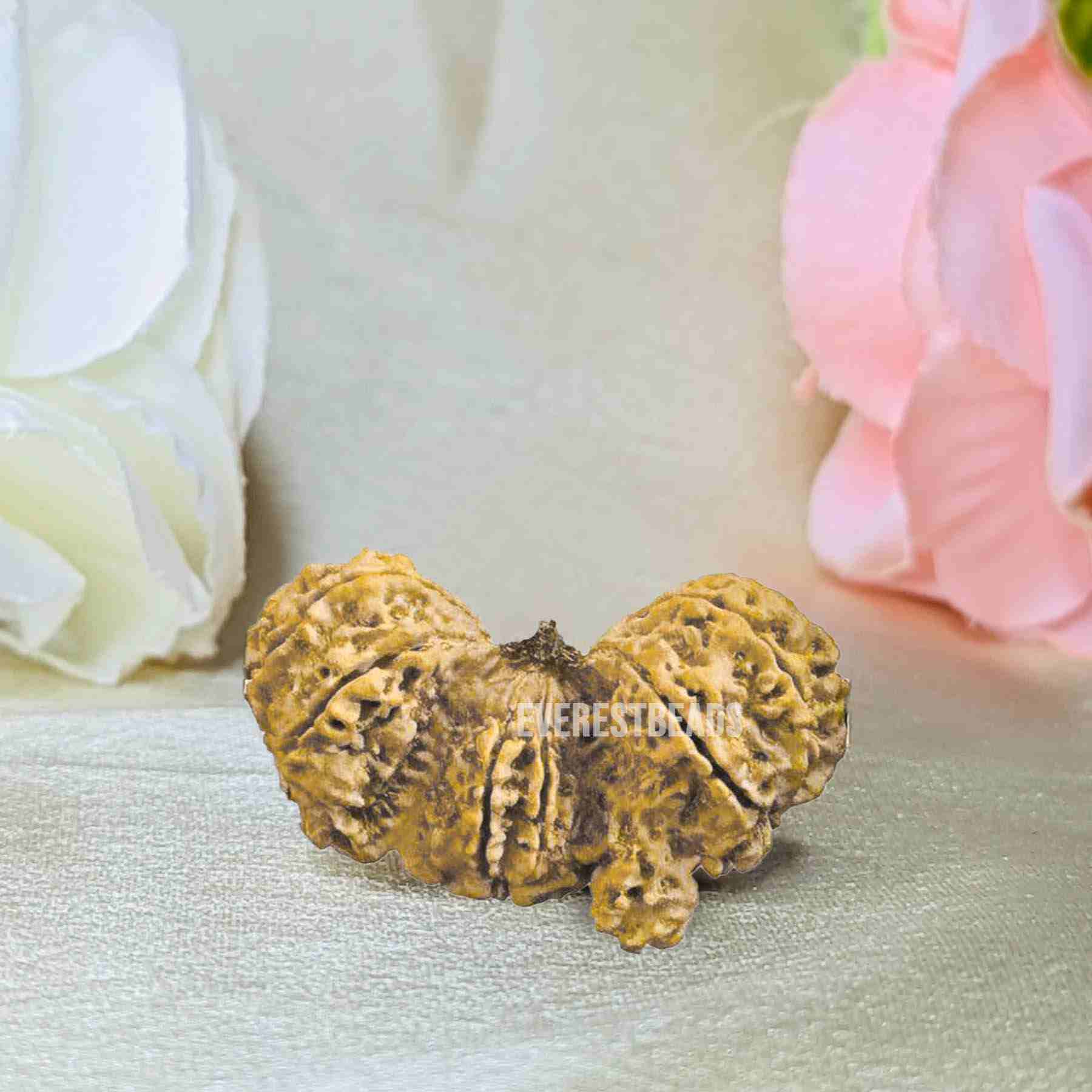 Trijuti Rudraksha Everest Beads